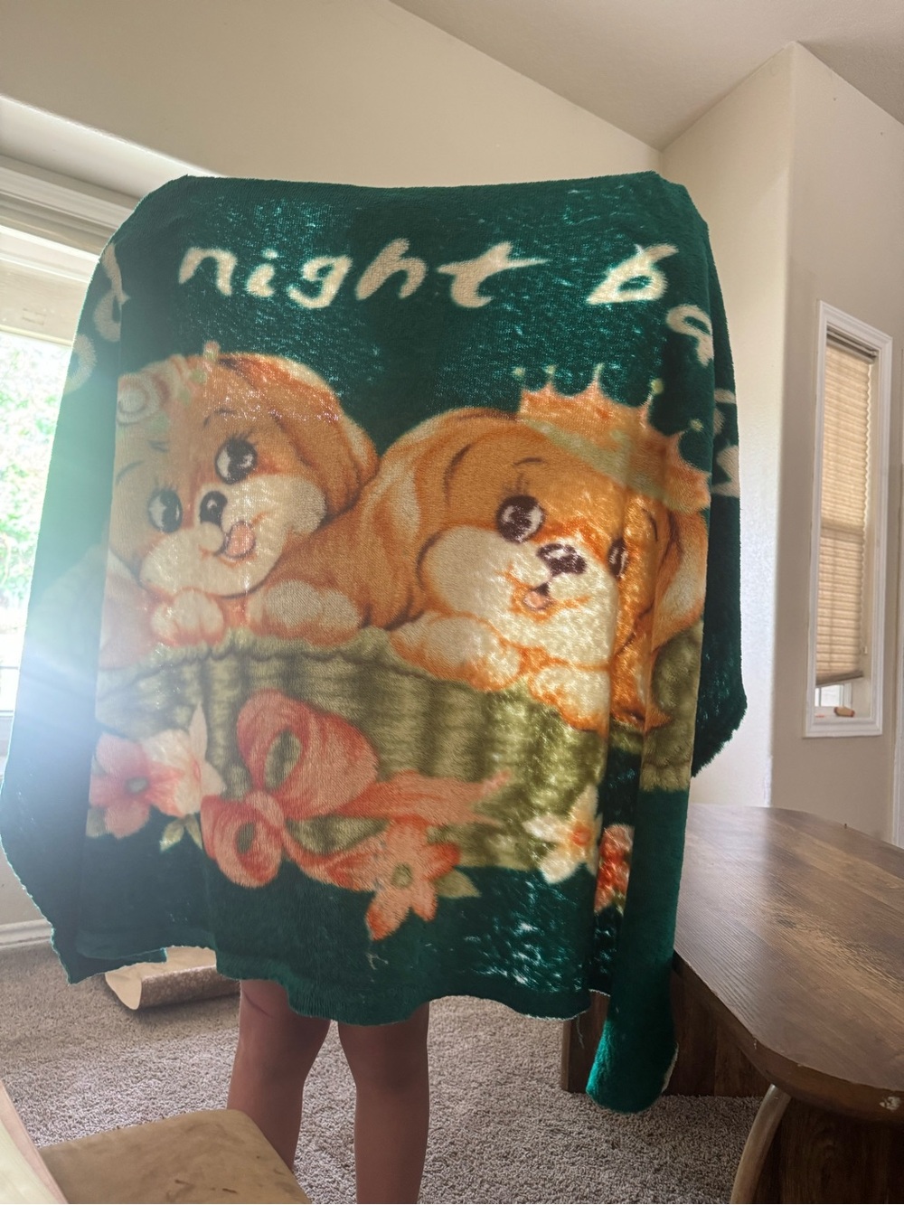 Cute Puppy Print Plush Throw Blanket - Green/ vintage good night baby blanket